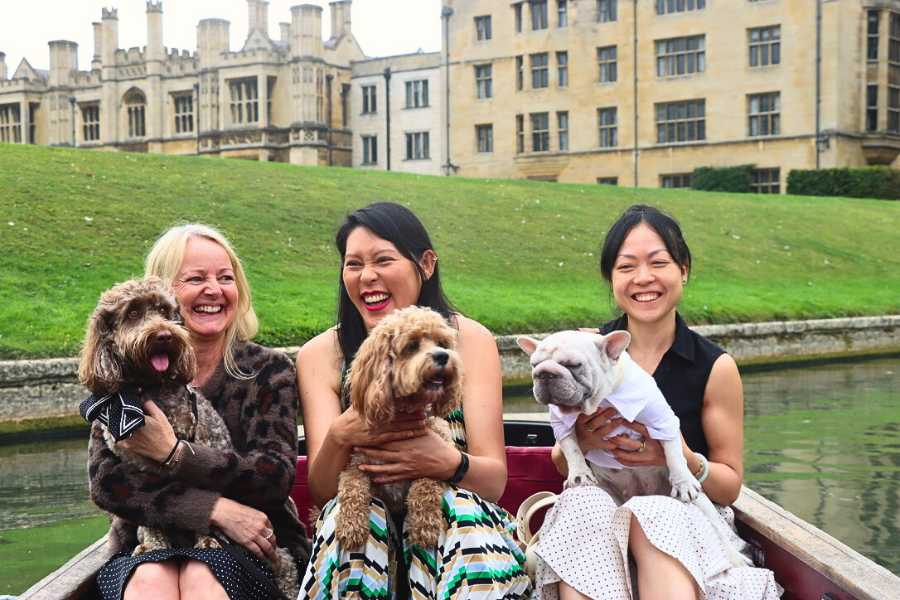 Three women and three dogs all punting on the River Cam in Cambridge