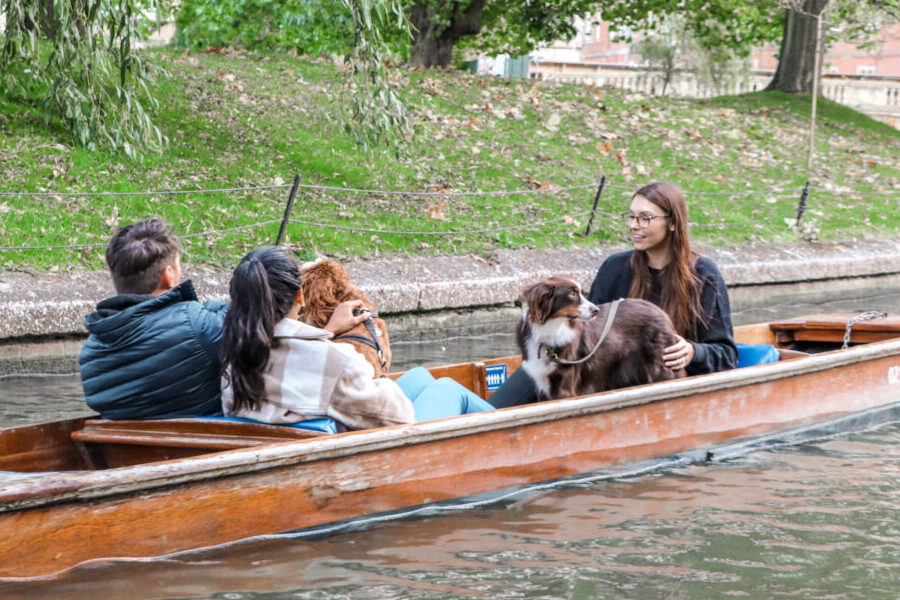 Punting Cambridge, Accessibility, Dog Friendly Punting