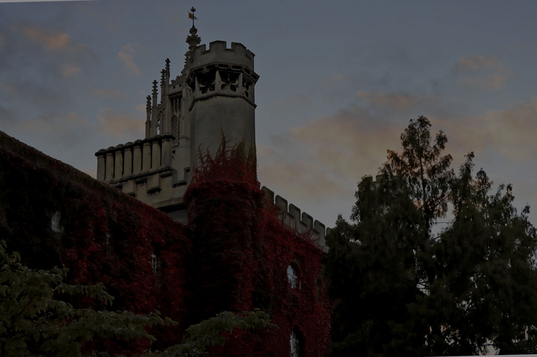 red autumn leaves along the