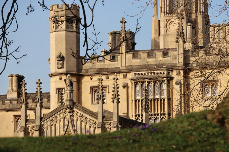 Proposal punting cambridge